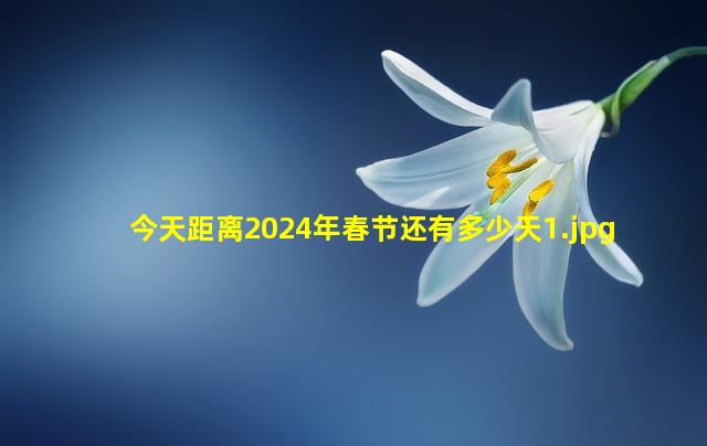 今天距离2024年春节还有多少天_1