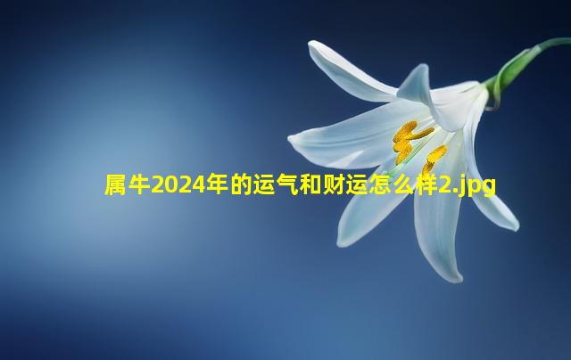 属牛2024年的运气和财运怎么样_2