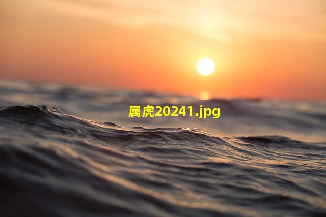 属虎2024_1