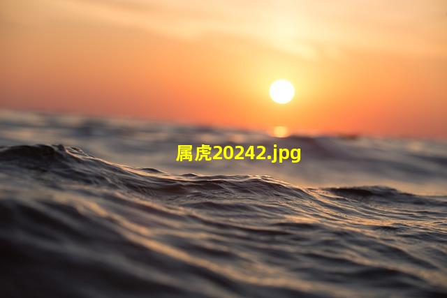 属虎2024_2