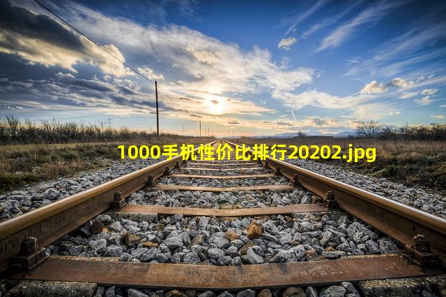 1000手机性价比排行2020_2