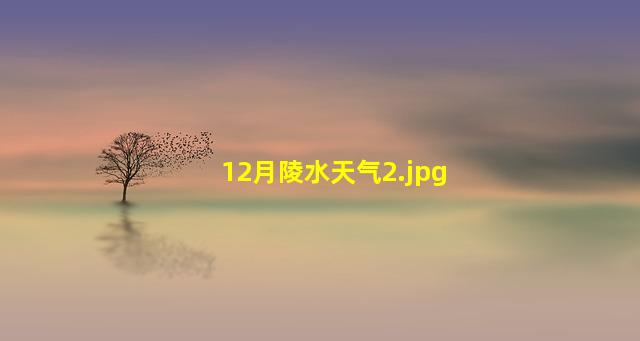 12月陵水天气_2