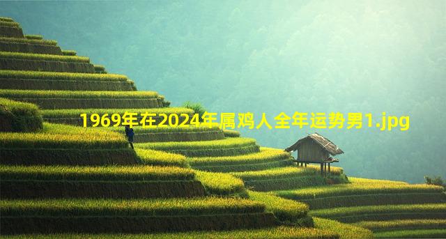 1969年在2024年属鸡人全年运势男_1