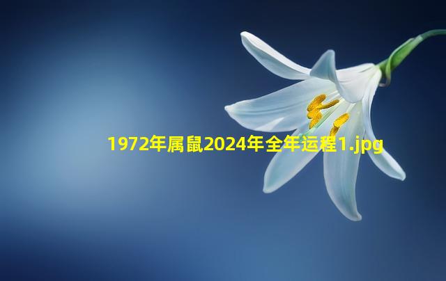 1972年属鼠2024年全年运程_1