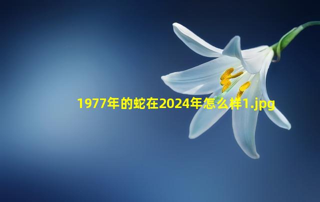 1977年的蛇在2024年怎么样_1