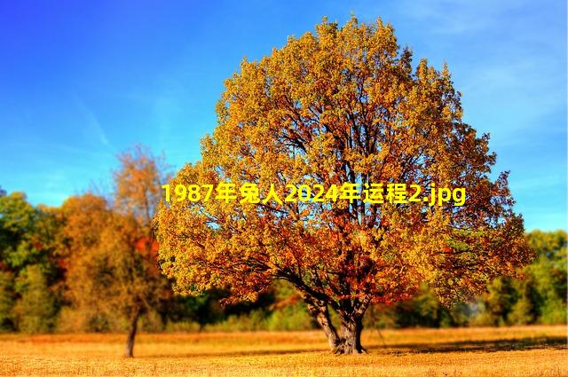 1987年兔人2024年运程_2