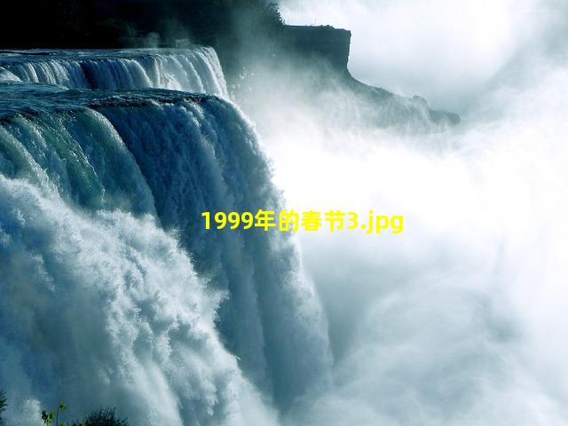 1999年的春节_3