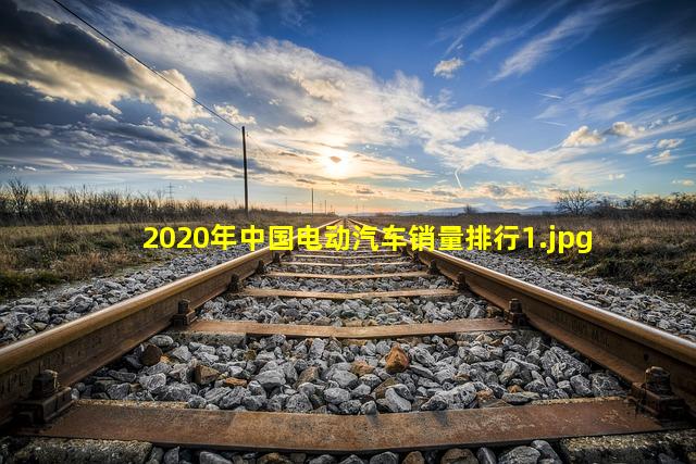 2020年中国电动汽车销量排行_1