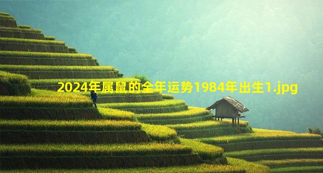 2024年属鼠的全年运势1984年出生_1